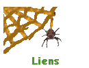 Liens