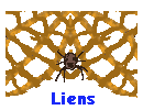Liens