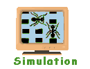 Simulation