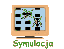 Symulacja