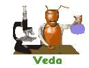 Veda