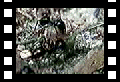 Mars to - vekos sboru : 2.64 MB