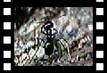 Schdzka - vekos sboru : 3.41 MB